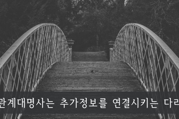 말하기 실력 향상! 관계대명사를 쓰는 이유와 훈련법