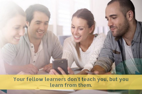 fellow-learner