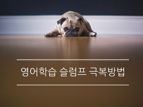 영어학습 슬럼프 극복 방법